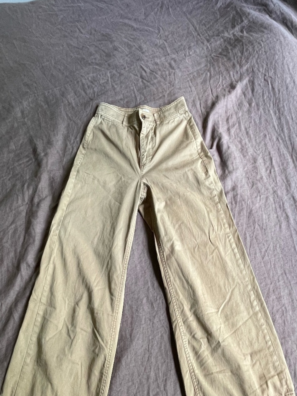 Everlane Wide-Leg Pants in Light Khaki